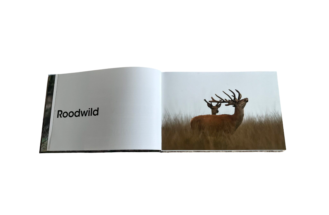 Andy van Ommeren's boek